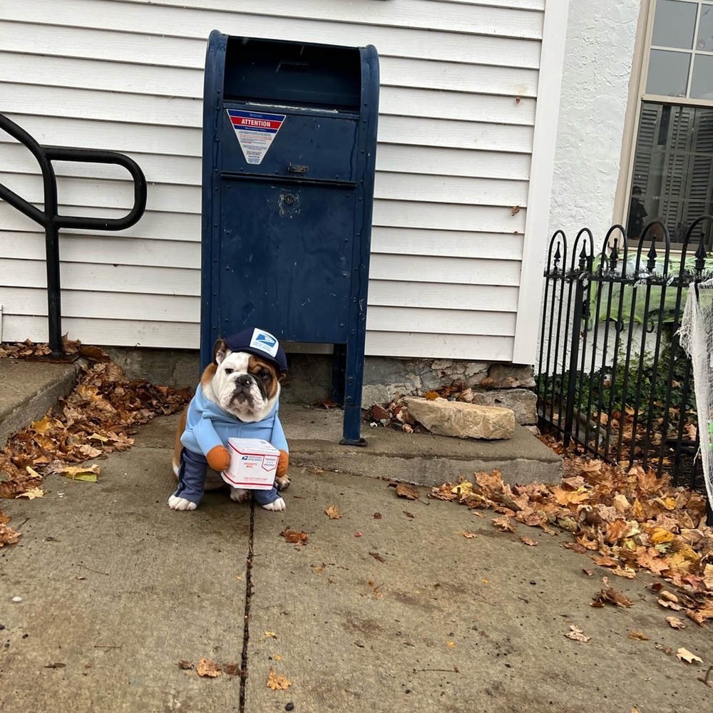 Extra Shipping Label - Picture 5 of 13